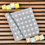 خشک-کن-تکی-خرس-شال-گردنی-طوسی