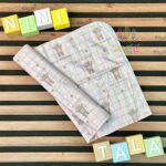 خشک-کن-تکی-خرس-فضانورد-گلبهی