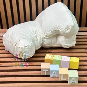 بالشت-شیردهی-Dieruhe-شیری