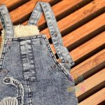 بیلر-تو-کرکی-ابی-دایناسور