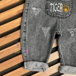 بیلر-خاکستری-ببر-اسپرت