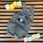 بیلر-خرسی-خاکستری