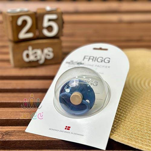 پستانک-فریگ-فلش-سرمه-ای