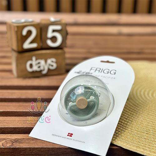 پستانک-فریگ-فلش-کاهویی